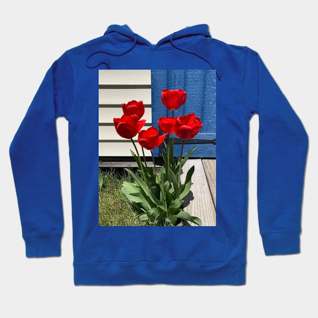 Red Tulips in front of a Blue Door Hoodie by Amanda1775